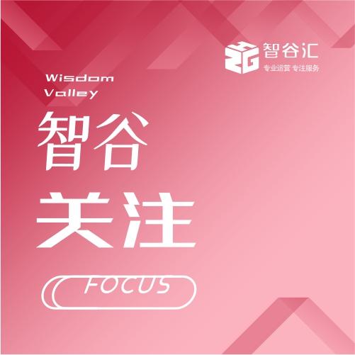 成都人才網(wǎng)最新招聘，友情與機遇的交織故事