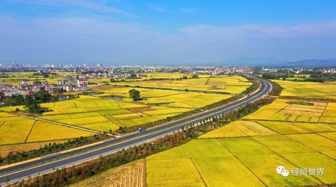 道縣S354最新動態(tài)，科技革新道路，智能引領(lǐng)未來發(fā)展