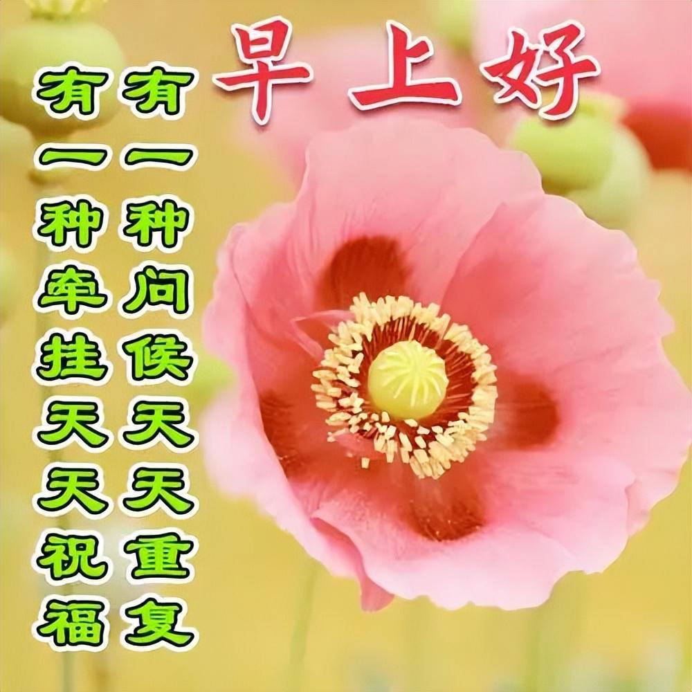 最新早上好動態(tài)圖，活力滿滿的一天開啟