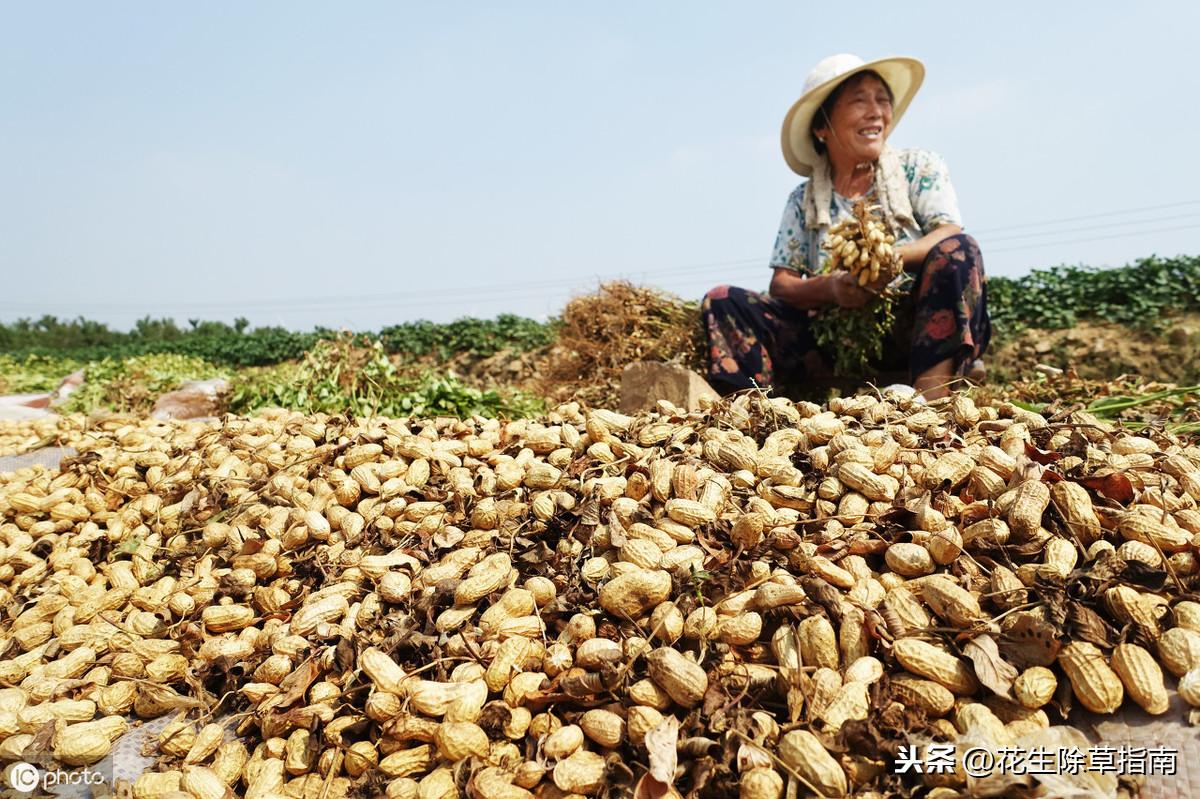 鄒城萬德廣場的日常故事，最新消息揭秘