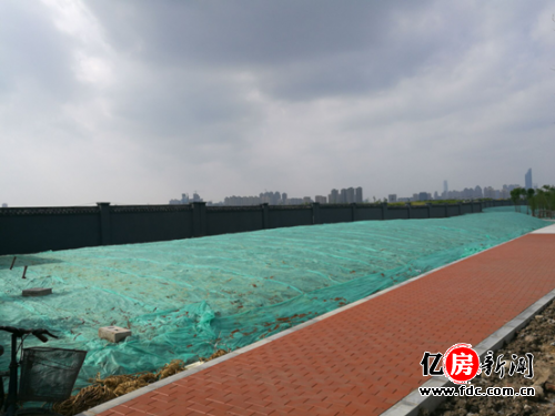 漢陽四新方島最新動態(tài)，自然美景的探索之旅，尋覓內(nèi)心平和與寧靜