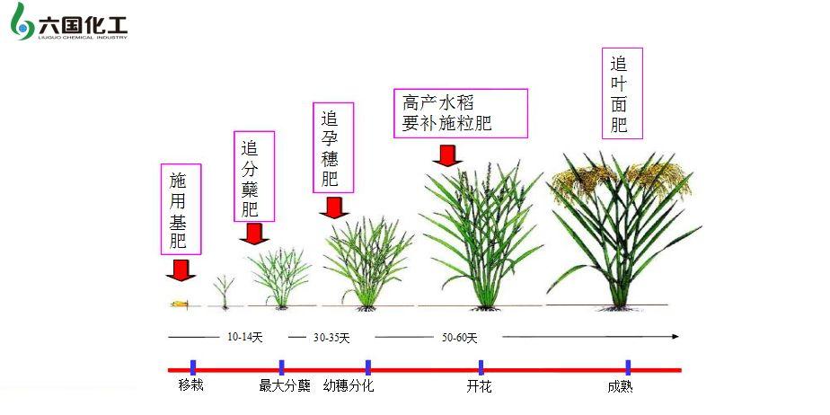 六國(guó)化工股票最新動(dòng)態(tài)全面解讀