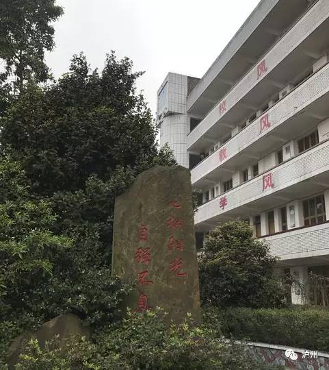 太伏中學(xué)事件最新進(jìn)展，自然之旅的鼓舞與啟示啟示人心