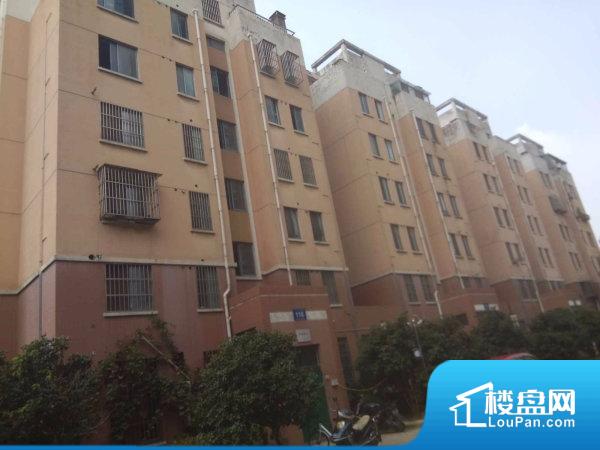最新濮院鎮(zhèn)二手房，變化中的家園，夢(mèng)想起點(diǎn)的自信選擇