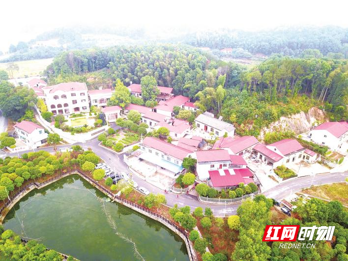 長沙縣北山鎮(zhèn)最新動態(tài)，溫馨日常的點(diǎn)滴記錄