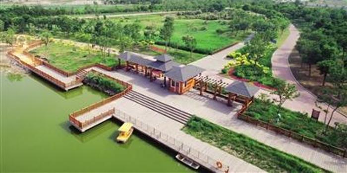 官港森林公園最新動(dòng)態(tài)揭秘，綠意盎然的新進(jìn)展！
