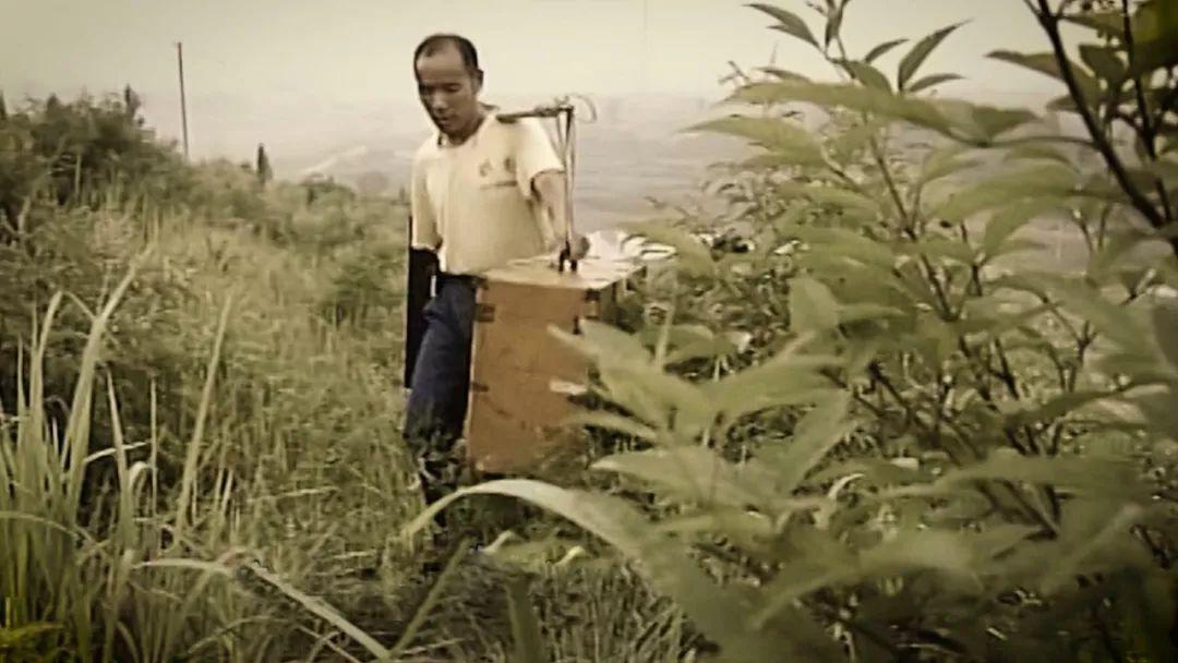 湖南老放映員科技重塑電影夢，體驗(yàn)前沿產(chǎn)品魅力新動(dòng)態(tài)