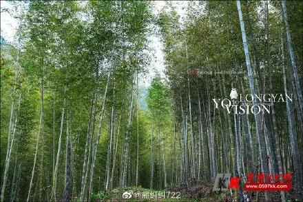龍巖kk網(wǎng)熱點(diǎn)新聞更新，小巷深處的獨(dú)特風(fēng)味