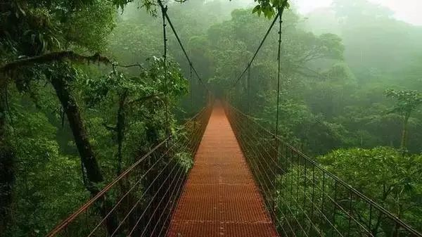 最新河道水情示意圖，自然美景的探索之旅啟動(dòng)！