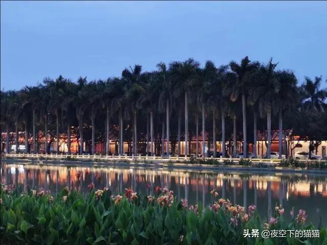 揭秘漳州港大名唐最新房價(jià)動(dòng)態(tài)，重磅更新！