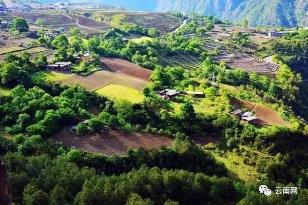 嘉漢林業(yè)最新動(dòng)態(tài)，探尋自然美景之旅，內(nèi)心平和寧?kù)o的尋覓