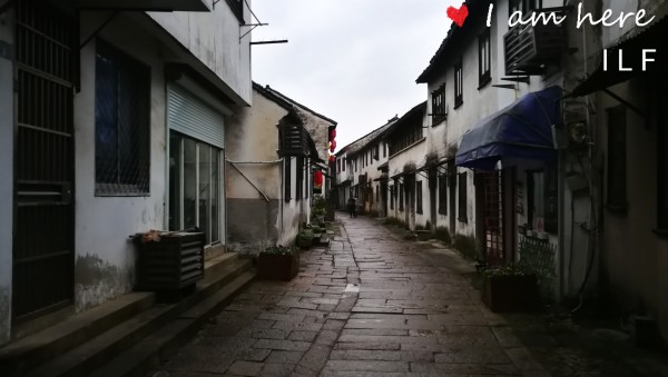 臺灣魏明仁最新動態(tài)，小巷中的獨特風味探秘