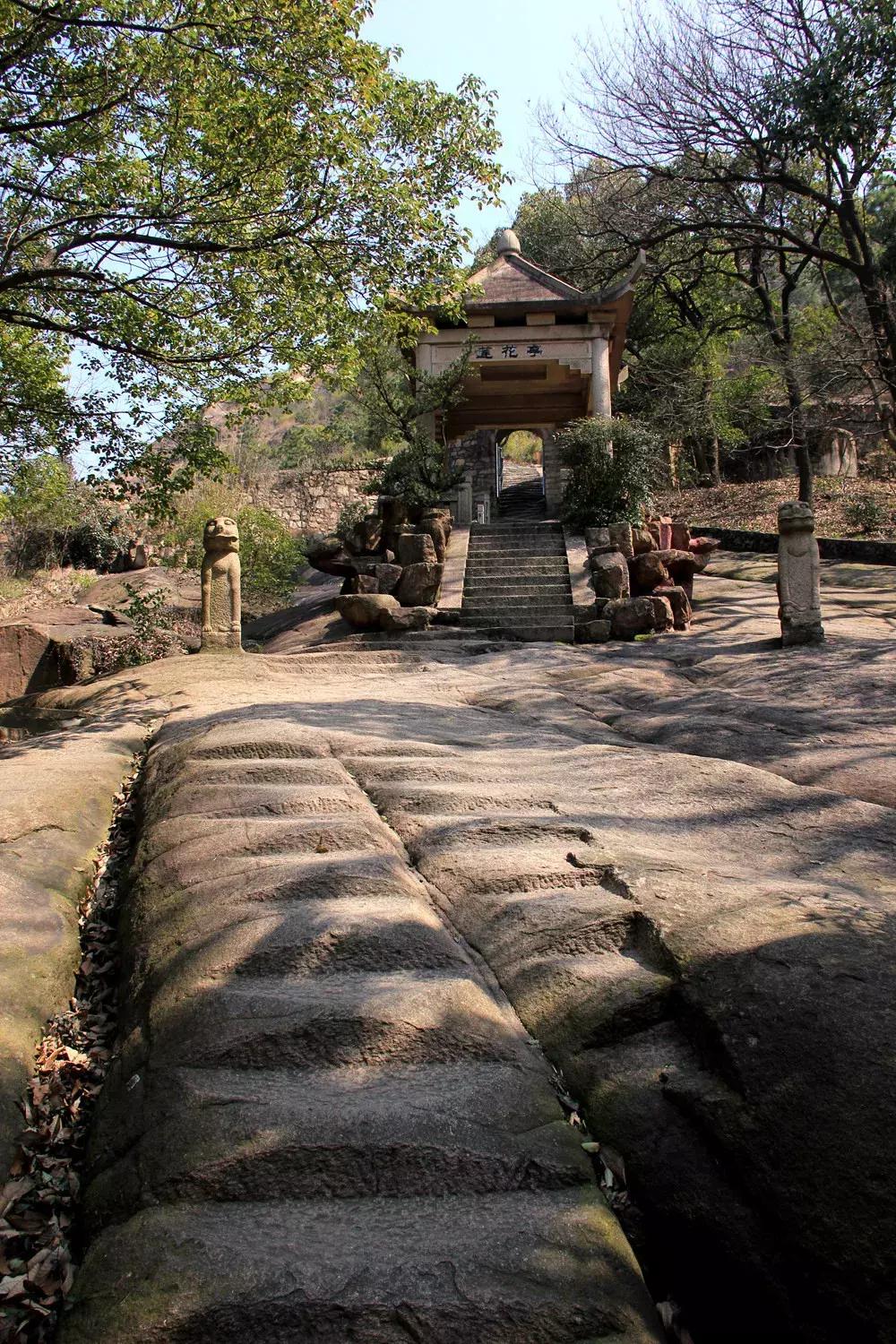 升興股份最新動態(tài)，自然美景探索之旅的心靈洗滌與提升體驗