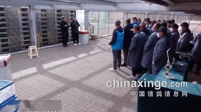 寶耐公棚最新公告，自然美景探索之旅邀請(qǐng)