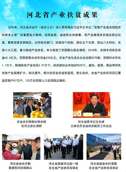 河北省最新扶貧政策,??河北省最新扶貧政策?